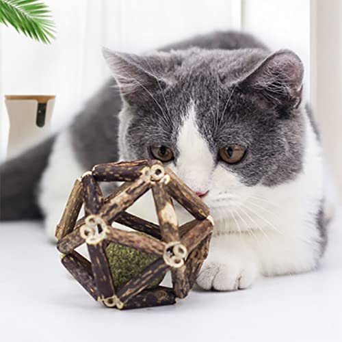 Katzenminze-Holzball, Silvervine Stick-Zahnknirschball, Spielzeug Steigert den Appetit, Katzenkauen für Katzen, Kätzchen von KIMISS