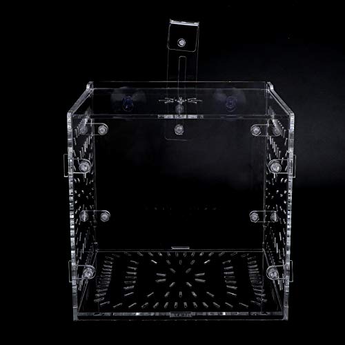 Transparente Isolationsbox für Aquarien mit Trennwand – Ideal für Kranke Fische, Zucht und Trennung – Aquarium-Isolierungseinheit für die Fischpflege (15CM * 15CM * 15CM) von KIMISS