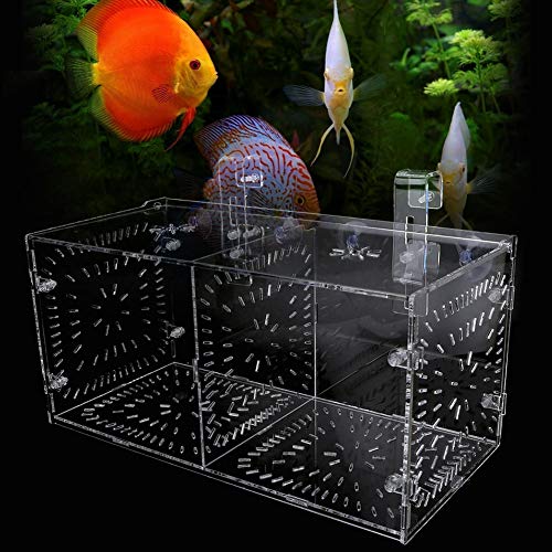 Transparente Isolationsbox für Aquarien mit Trennwand – Ideal für Kranke Fische, Zucht und Trennung – Aquarium-Isolierungseinheit für die Fischpflege (30CM * 15CM * 15CM) von KIMISS