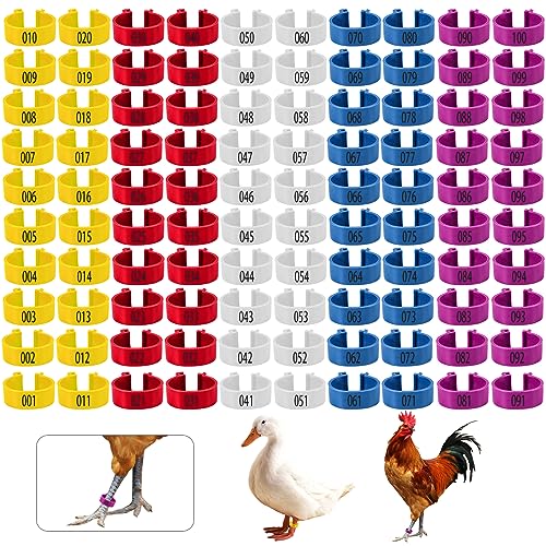 KINBOM 100 Stück Hähnchen Beinringe, 5 Farben Hähnchenschenkel Ring Clip Nummerierte Geflügel Fußringe Hähnchenschenkel Bänder Hühnerfuß Tags für Enten, Tauben, Meergans, Geflügel (20 mm) von KINBOM