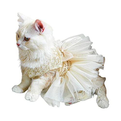 KING TREMELLA Hundekleid mit glänzendem Bowknot-Hunderock Frühlings- Sommerabschnitt Hochzeitskleider niedlich süß niedlich Stil Hunderock Hundekleidung Mädchen-Hundekleidung Hunde von KING TREMELLA