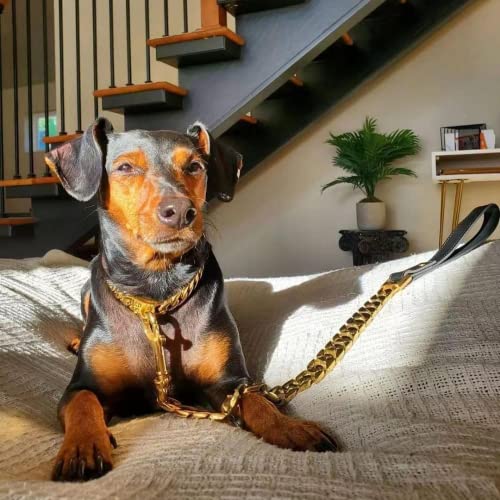 KINGOLDOGS Große Goldkette für große Hunde, Metall, kaufest, 32 mm, robuste Edelstahl-Haustierleine mit gepolstertem Ledergriff, 90 cm (für größere Hunde), goldfarben von KINGOLDOGS