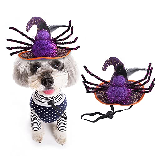 KIPETTO Haustier Halloween Spinne Hexenhut für Katze Hund Welpe Spinne Kopfschmuck Halloween Cosplay Party Kostüme von KIPETTO