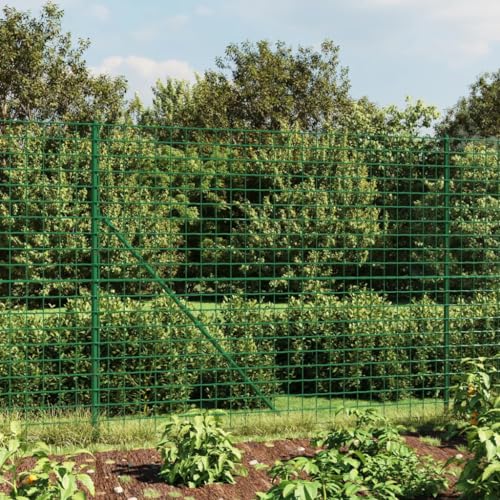 Drahtnetz für Hühnerstall, Stahl, verzinkt, grün, 1,6 x 10 m von KIPPOT