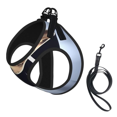Hundegeschirr für Violine, mit reflektierenden Riemen und Schnellverschluss-Schnallen, geeignet für kleine Katzen und Hunde Hundegeschirr für Violine, mit reflektierenden Riemen und Schnellverschluss-Schnallen, geeignet für kleine Katzen und Hunde von KIRROWE