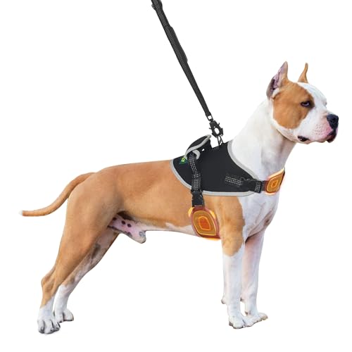 KISFLY Hundegeschirr, No Pull Hundegeschirr mit Reflektierenden, No Choke Pet Vest, Verstellbare, Weich Gepolsterte Hundeweste, Dog Walking und Training Geschirr, Kleines Hundegeschirr mit Griff, von KISFLY