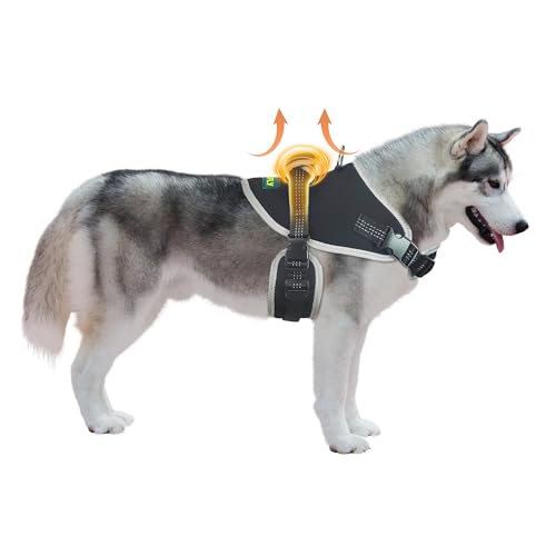 KISFLY Hundegeschirr, No Pull Hundegeschirr mit reflektierenden, No Choke Pet Vest, Verstellbar, Weich Gepolsterte Hundeweste, Dog Walking und Training Geschirr, Großes Hundegeschirr mit Griff, von KISFLY