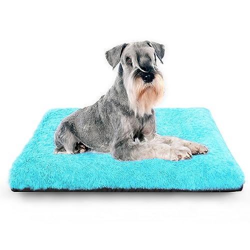 KISYYO Hundebetten für kleine Hunde, fixierbar, Deluxe, gemütlich, Hundehütte für Kisten, waschbar, 61 x 45 x 9,5 cm, Blau von KISYYO