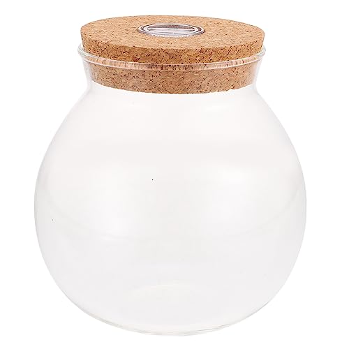 Bunte ökologische Flasche Kristalldekor Terrarienpflanzer Pflanzen Landschaft Container Pflanzendekorationen Sterne Flaschen Mikrolandschaftshalter einfaches Pflanzenterrarium Glas KITANDOVE von KITANDOVE