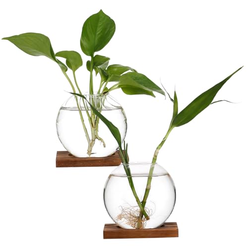 KITANDOVE 2 Stück Kreative Vase Für Pflanzen Anzuchtvase Anzuchtgläser Terrariumglas Anzuchtvasen Für Pflanzen Pflanzenterrarium Wandvasen Töpfe Für Pflanzen Tischvase Glas von KITANDOVE