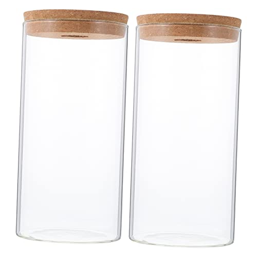 KITANDOVE 2st Aquarium Terrarium Behälter Dekoratives Moos Container Anlage Klar Dekorativer Pflanzer Vasen Hydrokultur-pflanzgefäß Luftpflanzenvase Hydrokulturvase Saftig Glas Transparent von KITANDOVE