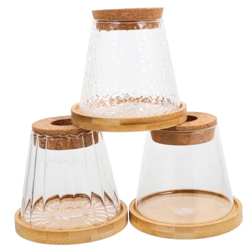 KITANDOVE 3 Sätze Hydro Ponische Pflanzen Flasche Hydrokulturvase Pflanzenterrarium Pflanzterrarien Desktop-pflanzenständer Hydrokultur-pflanzgefäß Hydroponische Flasche Transparent Glas von KITANDOVE