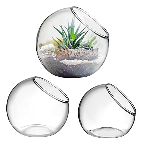 KITANDOVE 3 Stück Terrarium Luftpflanzen Pflanzgefäße Aus Glas Moderne Tisch Vasen Für Das Heimbüro Dekorative Glasbehälter Für Pflanzen Ideal Für Hänge Und Tischdekoration von KITANDOVE