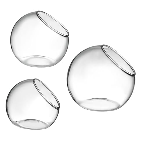 KITANDOVE 3 Stücke Glas Luft Pflanze Sukkulenten Terrarien Moderne Glas Terrarien Für Hochzeit Geburtstag Dekorationen von KITANDOVE