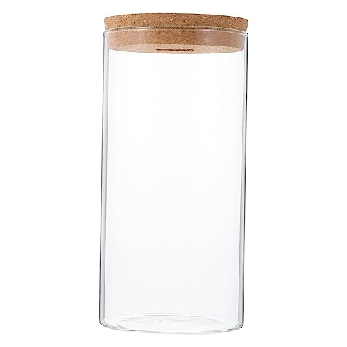 KITANDOVE Terrarium Glas Zylinder Glasflasche für Home Office Decor Landschaft von KITANDOVE