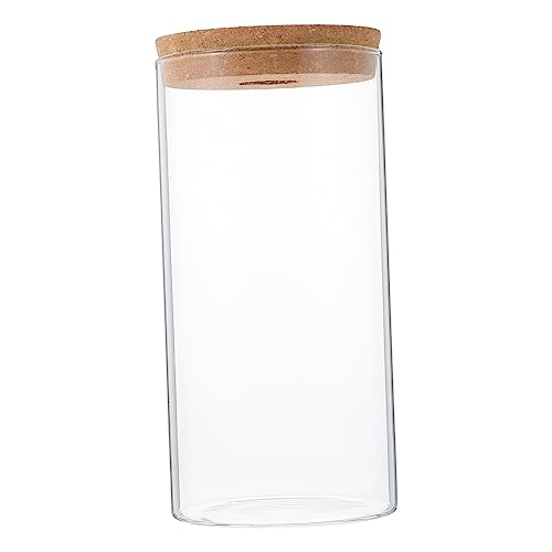 KITANDOVE Terrarium Glas Pflanze Flasche für Landschaft Moos Terrarium Home Office Decor von KITANDOVE