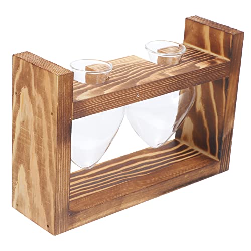 KITANDOVE Hydrokultur Glas Pflanzer Vase Holz Ständer für Desktop Indoor Pflanzen von KITANDOVE