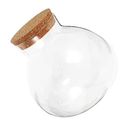 KITANDOVE Mikro-Landschaftspflanzerflasche Mini-Pflanztöpfe hydroponische Pflanzen Mini-Pflanzen Snacks Glas slico rundpfosten Moos-Landschaftsbauflasche Micro-Landschafts-DIY-Flasche Kork von KITANDOVE