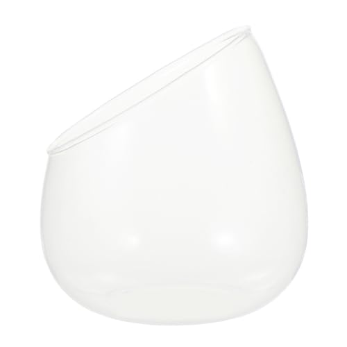 KITANDOVE schräge Glasflasche dekorativer Pflanzer runde Vase transparente Luftpflanzenflasche sukulentenpflanzen künstlich Dekoration Schlafzimmer Links Süßigkeitenglas Vasen präsentieren von KITANDOVE