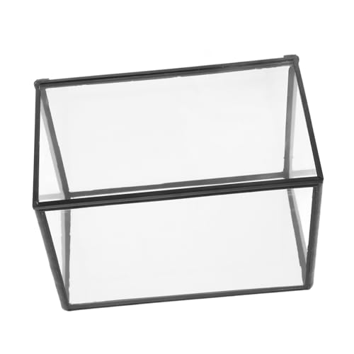 Mikrolandschaftsgewächshaus Tischschmuck Terrarienmoos Pflanzenterrarium Moos Landschaft Container Leeres Terrarium Pflanzenbehälter Selber Machen Pflanzenetui Glas Transparent KITANDOVE von KITANDOVE