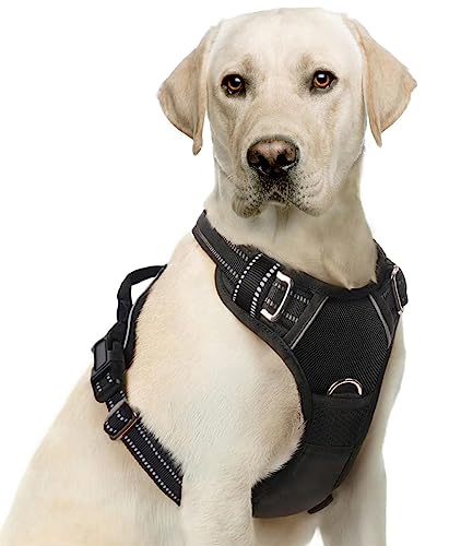Verstellbares Hundegeschirr für große Hunde, eng anliegende Passform, für Training, Spaziergänge, Jungen, reflektierend, Schwarz von KITTYAMIGO