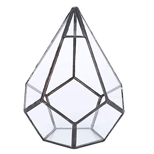 Elegantes Geometrisches Glasterrarium – Vielseitiger Sukkulenten- Und Pflanzenhalter Für Moderne Inneneinrichtung von KJAOYU