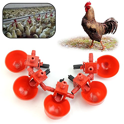 5 x automatische Trinkbecher für Vögel, Geflügel, Huhn, Geflügel, Wassertrinkbecher, Aquarium-Dekoration, Violett von KJDKNC