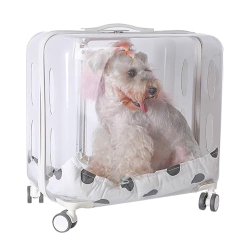 Haustier-Rucksack, Trolley für Hunde und Katzen, atmungsaktive Luftpolsterkapsel, Weltraum-Trolley für Reisen/Spaziergänge, Grün (White) von KJHYYPP