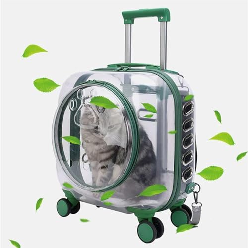 Tragbarer Outdoor-Haustier-Trolley für Katzen und Hunde, transparente Haustier-Außenbox, zum Wandern im Freien, Spazierengehen (Green) von KJHYYPP