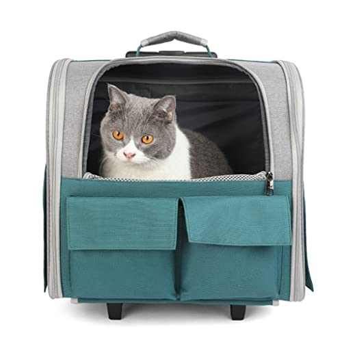 Tragetasche für Katzen und Haustiere, Reisetasche für Katzen und Hunde, tragbarer Transportkoffer, atmungsaktiver Kinderwagen für Haustiere im Freien (Green) von KJHYYPP