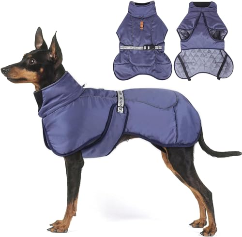 Hunde Kleidung, Warme Hundejacke, Baumwolle Gefütterte Hundejacke Warm Wintermantel für den kalten Winter (blau, 4XL) von KJSXUUE