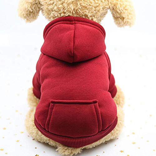 Hochwertige Katzenkleidung Weiches Haustier Kleiner Hund Katzenmantel Hoodies Sportlicher Welpe Kätzchenpullover Kostüm Katze Sportbekleidung AA von KKDIY