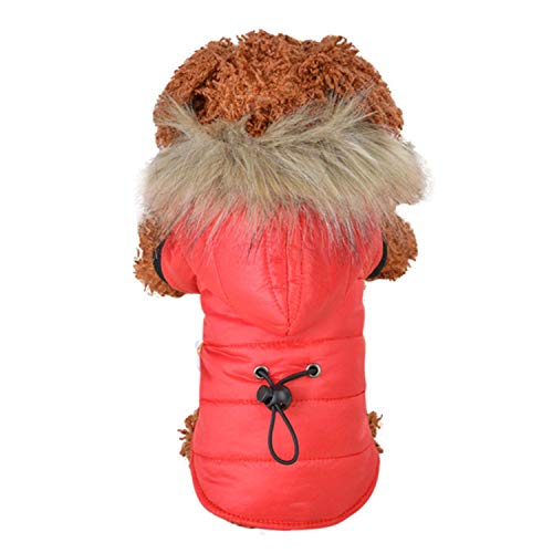 KKDIY Warme Hundekleidung für Haustier Hund Winterkleidung Baumwollkleidung für Hunde Verdickung Haustierprodukt Hunde Mantel Jacke Welpe Chihuahua 30 von KKDIY