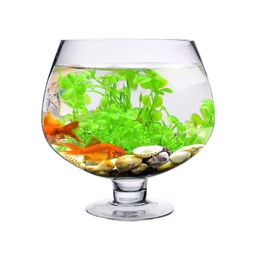 KKXXYQFC Aquarium Kleines Aquarium Verdicktes transparentes Glasaquarium Wohnzimmer Desktop-Schildkrötenbecken Kreatives Kelchmodellierungsdesign Aquariumbecken (15 cm x 10 cm) von KKXXYQFC