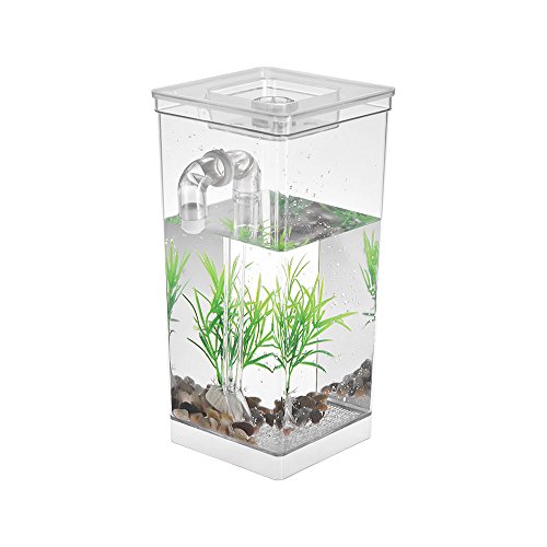 KKXXYQFC Aquarium Mini-Aquarium mit LED-Lampe, Licht, Fischbekämpfungszylinder, selbstreinigendes kleines Aquarium, Acryl-Schreibtisch-Aquarium-Box, Aquarium-Behälter von KKXXYQFC