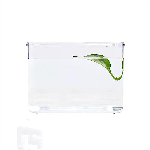 KKXXYQFC Aquarium für Fische, Büro, Desktop, kleines Aquarium, Acryl-Box, Kombination aus einzelnen montierten kleinen Aquarien, klar, transparent (Farbe: Grau) von KKXXYQFC