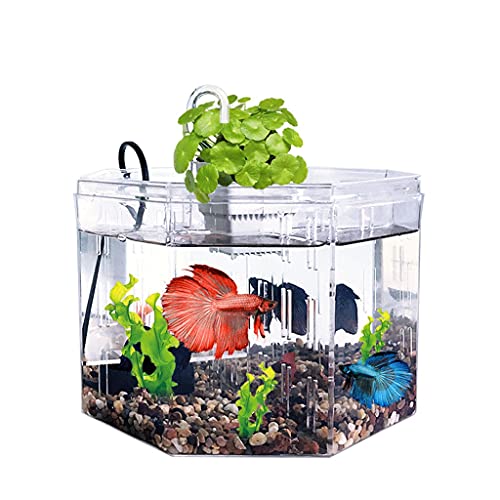 Kreatives kleines Aquarium, Acryl, transparent, Betta-Aquarium, dekoratives Aquarium, Wassertank, Büro, Zuhause, Fischschalen von KLAJHHSSSSSSSSS