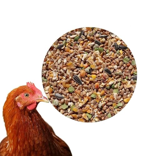 25 kg Premium Hühnerfutter Körnerfutter Plus Geflügelfutter für Hühner, Gänse, Enten - GVO frei Kükenfutter von KLASEBO