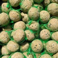 KLASEBO Meisenknödel Premium mit Insekten 100 x ca. 90 Gramm mit Netz, Futter für Wildvögel, Fettfutter Vögel von KLASEBO