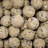 KLASEBO Meisenknödel Premium mit Insekten 100 x ca. 90 Gramm ohne Netz, Futter für Wildvögel, Fettfutter Vögel von KLASEBO