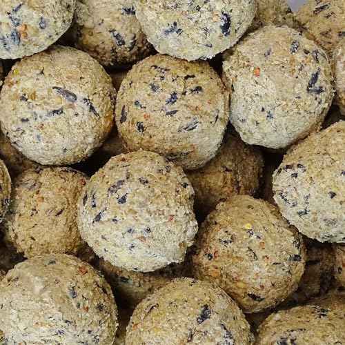 Meisenknödel 200 x ca.90 Gramm ohne Netz von KLASEBO