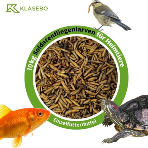 Soldatenfliegenlarven getrocknet 5kg wie Mehlwürmer Hermetia, für Vögel, Hühner, Igel, Reptilien, Fische (10 kg) von KLASEBO