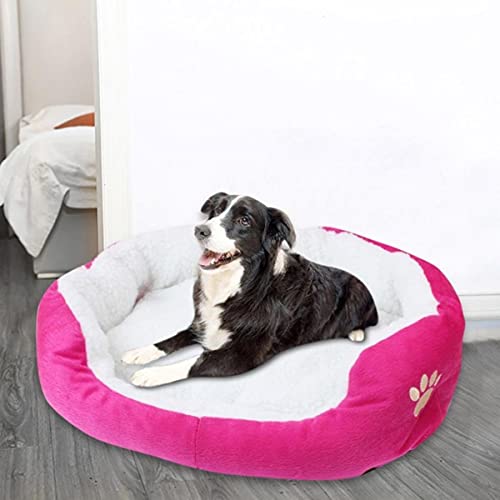 KLIEUWDBAARASRASJ 60# pet Plus Size Fashion Katzenbetten warmes weiches Fleece-Bettsofa für kleine große Katzen Zwinger Pet Kitten Dog House Products #2-C,M,Frankreich von KLIEUWDBAARASRASJ