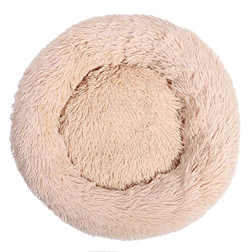 KLIEUWDBAARASRASJ Flauschiges Katzenbett Warmes rundes Katzenkissen Weicher Katzenkorb Hundebett Donut Katzen Produkte für Haustier Hundebett für kleine Hunde-gelb,3XS Dia 200mm von KLIEUWDBAARASRASJ