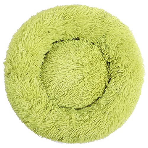 KLIEUWDBAARASRASJ Flauschiges Katzenbett Warmes rundes Katzenkissen Weicher Katzenkorb Hundebett Donut Katzen Produkte für Haustier Hundebett für kleine Hunde-grün,3XS Dia 200mm von KLIEUWDBAARASRASJ