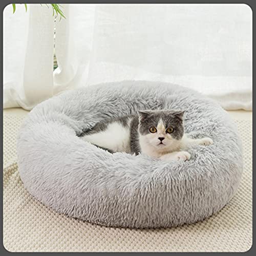 KLIEUWDBAARASRASJ Flauschiges Katzenbett Warmes rundes Katzenkissen Weicher Katzenkorb Hundebett Donut Katzen Produkte für Haustier Hundebett für kleine Hunde-hellgrau,3XS Dia 200mm von KLIEUWDBAARASRASJ