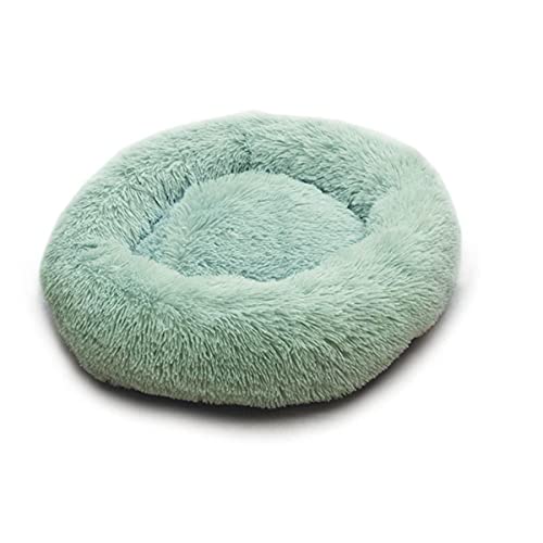 KLIEUWDBAARASRASJ Flauschiges Katzenbett Warmes rundes Katzenkissen Weicher Katzenkorb Hundebett Donut Katzen Produkte für Haustier Hundebett für kleine Hunde-hellgrün,3XS Dia 200mm von KLIEUWDBAARASRASJ