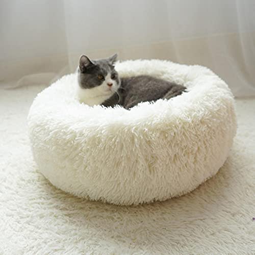 KLIEUWDBAARASRASJ Flauschiges Katzenbett Warmes rundes Katzenkissen Weicher Katzenkorb Hundebett Donut Katzen Produkte für Haustier Hundebett für kleine Hunde-weiß,3XS Dia 200mm von KLIEUWDBAARASRASJ