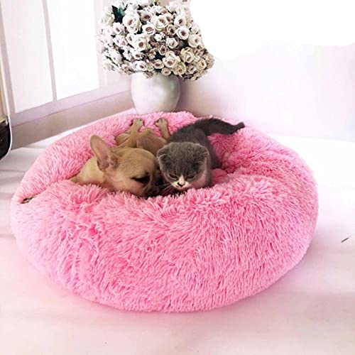 KLIEUWDBAARASRASJ Langes Plüsch Superweiches Katzenbett Zwinger Hundesofa Katze Winter Warmer Schlafsack Welpenkissenmatte Tragbar Alle Größen Nest House-Bright Pink, 50, Russische Föderation von KLIEUWDBAARASRASJ