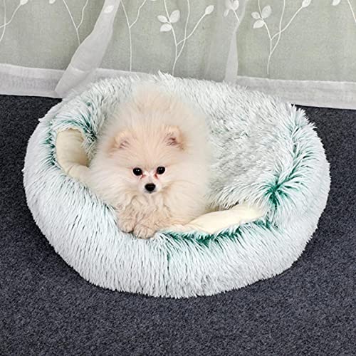 KLIEUWDBAARASRASJ Winter 2 in 1 Katzenbett rund warmes Haustierbett House Long Plüsch Hundebett Warmer Schlafsack Sofa Kissen Nest für kleine Hunde Katzen Kätzchen-grün,40cm von KLIEUWDBAARASRASJ